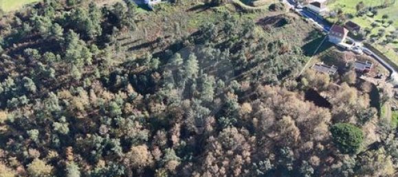  Land in Cabeceiras de Basto, Portugal No. 190067 6