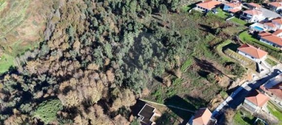  Land in Cabeceiras de Basto, Portugal No. 190067 7