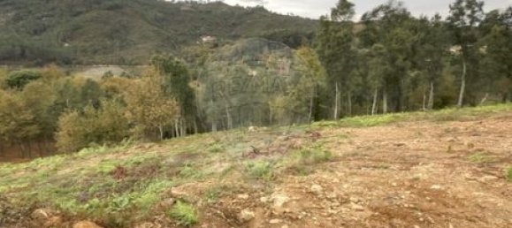  Land in Cabeceiras de Basto, Portugal No. 190067 12