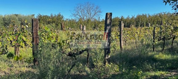 1 Schlafzimmer Haus in Bassano in Teverina, Italy, Nr. 357664 9