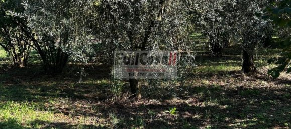 1 Schlafzimmer Haus in Bassano in Teverina, Italy, Nr. 357664 10