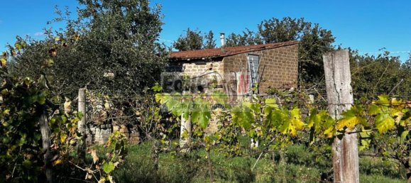 1 Schlafzimmer Haus in Bassano in Teverina, Italy, Nr. 357664 3