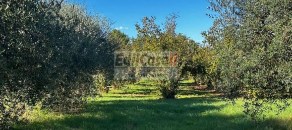 1 Schlafzimmer Haus in Bassano in Teverina, Italy, Nr. 357664 7