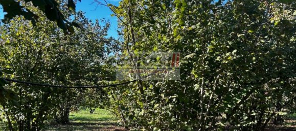 1 Schlafzimmer Haus in Bassano in Teverina, Italy, Nr. 357664 8