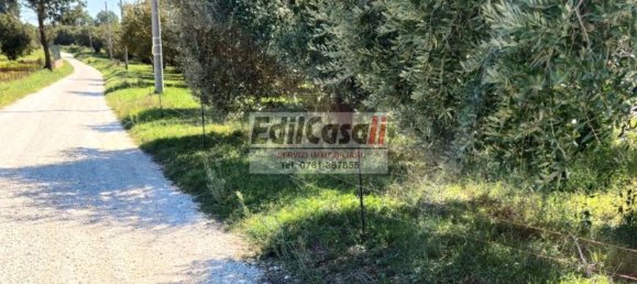 1 Schlafzimmer Haus in Bassano in Teverina, Italy, Nr. 357664 6