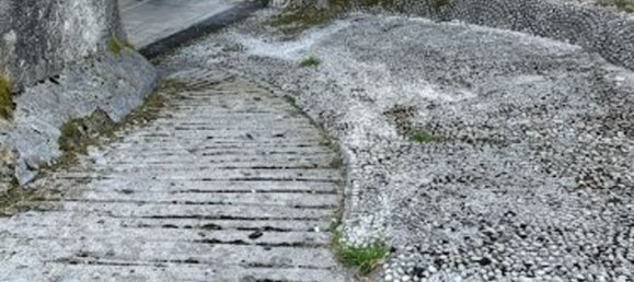 Propriété commerciale à Massa, Italy 35m² No. 362789 2