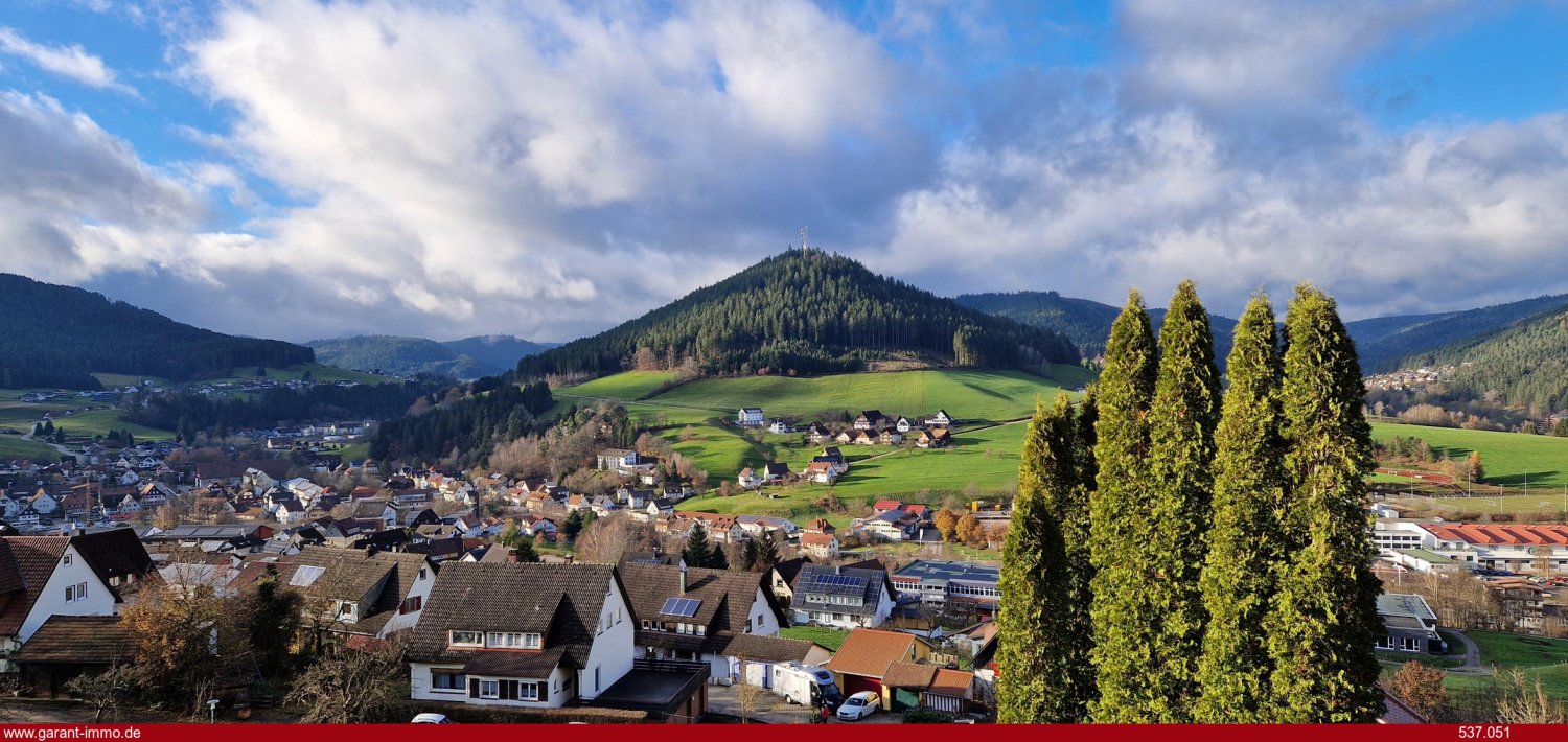 Студия в Баден-Вюртемберг, Германия № 2480