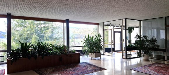 Студия в Баден-Вюртемберг, Германия № 2480 6