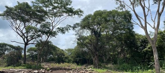 Land in Abangares, Costa Rica No. 1621 5