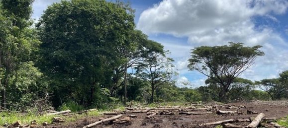 Land in Abangares, Costa Rica No. 1621 4