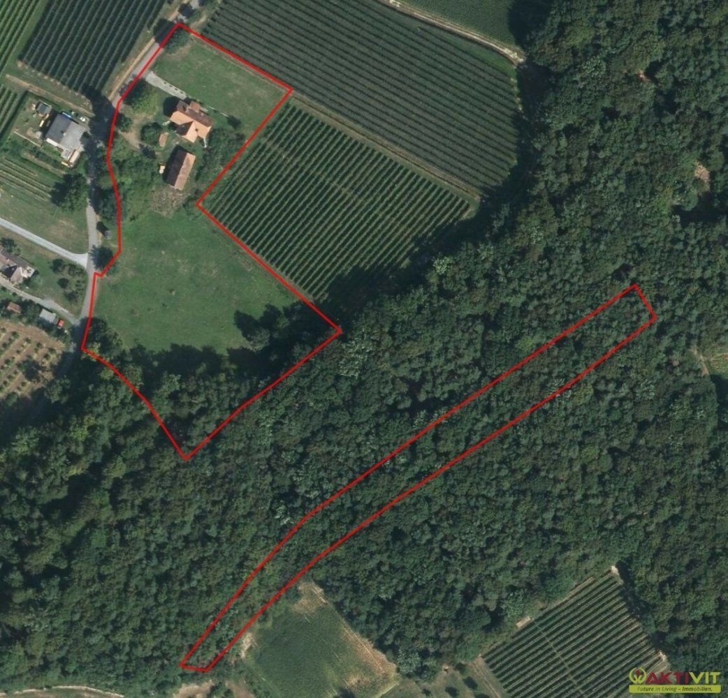 8 rooms House in Tieschen, Austria No. 32002