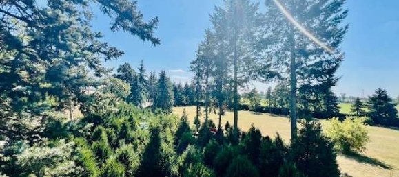 4 bedrooms House in Teltow-Flaming, Germany No. 94907 5