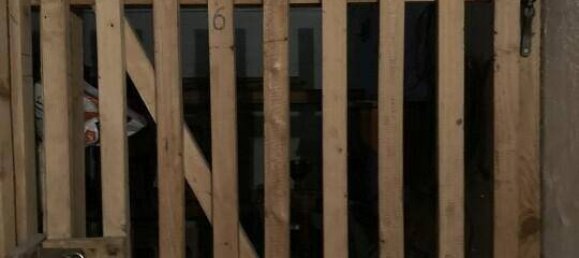 2 chambres Appartement à Graz-Umgebung, Austria No. 58684 4