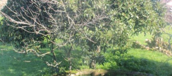 3 Schlafzimmer Haus in Ansiao, Portugal, Nr. 20578 4