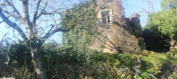 3 Schlafzimmer Haus in Ansiao, Portugal, Nr. 20578 5