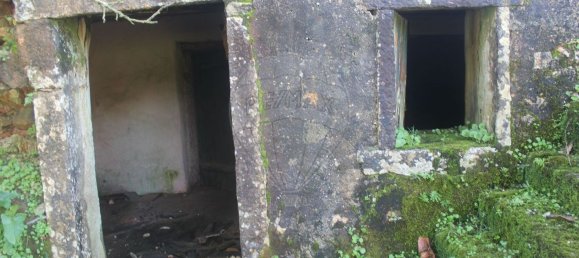 3 Schlafzimmer Haus in Ansiao, Portugal, Nr. 20578 9