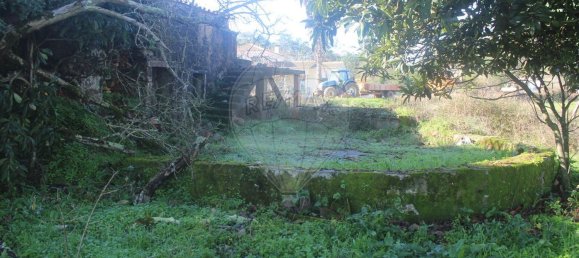 3 Schlafzimmer Haus in Ansiao, Portugal, Nr. 20578 6