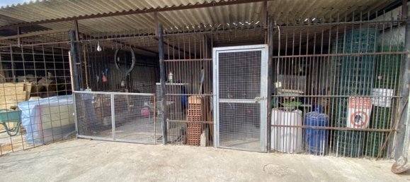 5 rooms Apartment in Soliera, Italy No. 237796 3