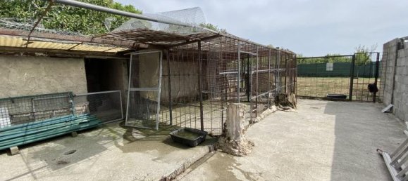 5 rooms Apartment in Soliera, Italy No. 237796 5