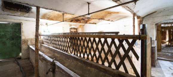 6 bedrooms House in Waldzell, Austria No. 18578 3