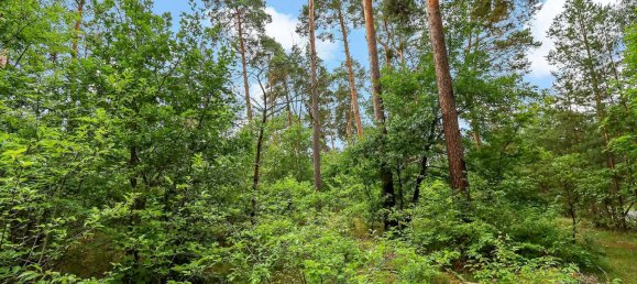  قطعة أرض في Kopenick, Germany 96510متر مربع رقم 261487 4