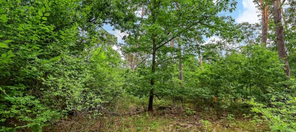  قطعة أرض في Kopenick, Germany 96510متر مربع رقم 261487 6