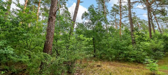  قطعة أرض في Kopenick, Germany 96510متر مربع رقم 261487 3