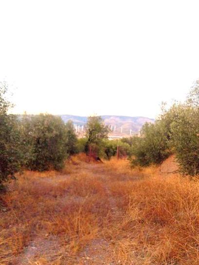 5000m² Land in Almeria, Spain No. 257544