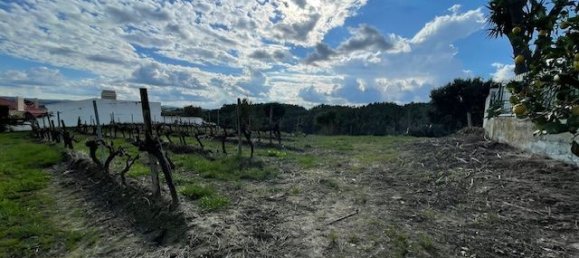 2640m² Land in Alenquer, Portugal No. 94516 10