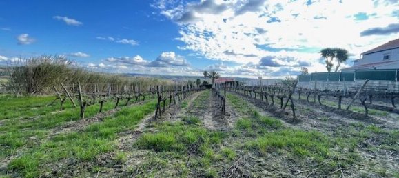 2640m² Land in Alenquer, Portugal No. 94516 22