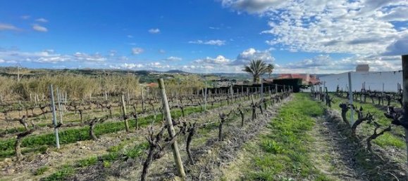 2640m² Land in Alenquer, Portugal No. 94516 8