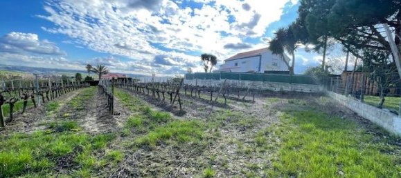 2640m² Land in Alenquer, Portugal No. 94516 25