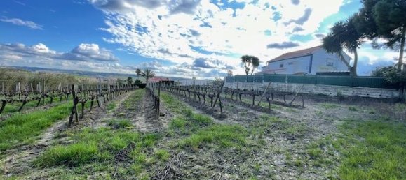 2640m² Land in Alenquer, Portugal No. 94516 20