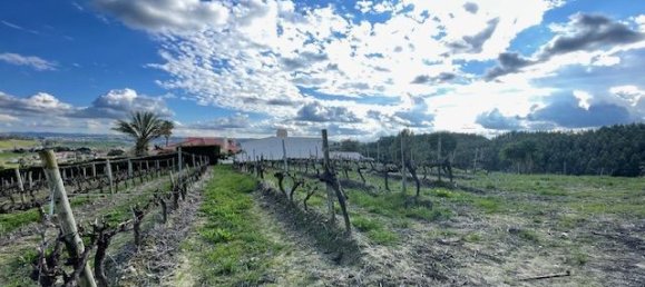 2640m² Land in Alenquer, Portugal No. 94516 14