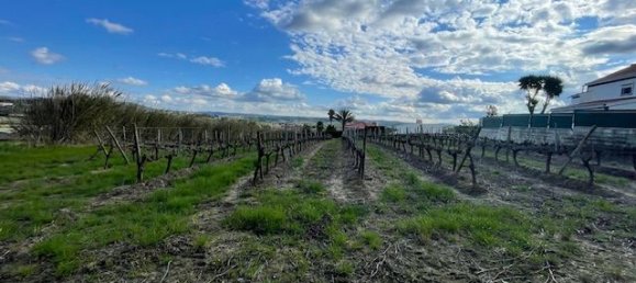 2640m² Land in Alenquer, Portugal No. 94516 19