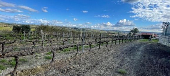 2640m² Land in Alenquer, Portugal No. 94516 16