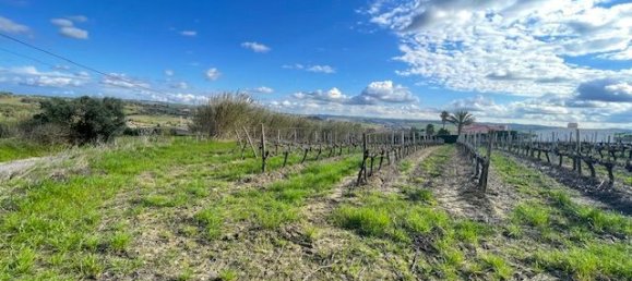 2640m² Land in Alenquer, Portugal No. 94516 28