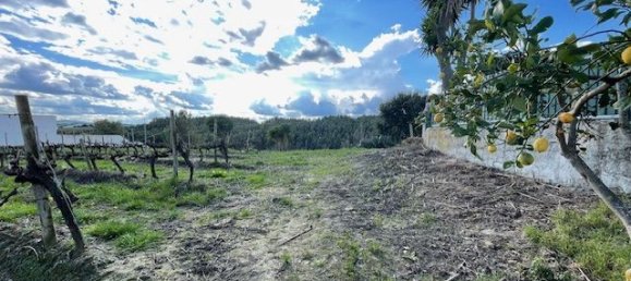 2640m² Land in Alenquer, Portugal No. 94516 12