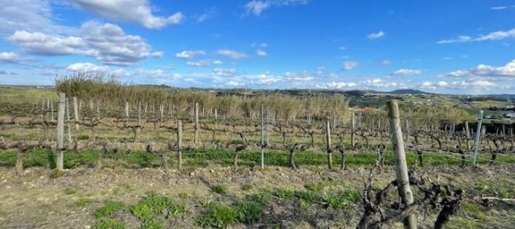 2640m² Land in Alenquer, Portugal No. 94516 6