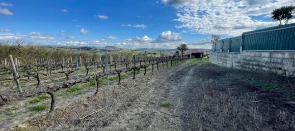 2640m² Land in Alenquer, Portugal No. 94516 17