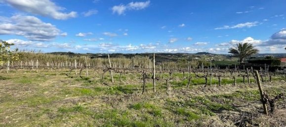 2640m² Land in Alenquer, Portugal No. 94516 3