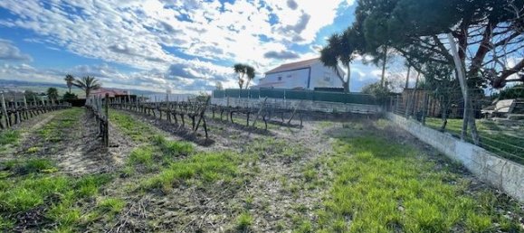 2640m² Land in Alenquer, Portugal No. 94516 26