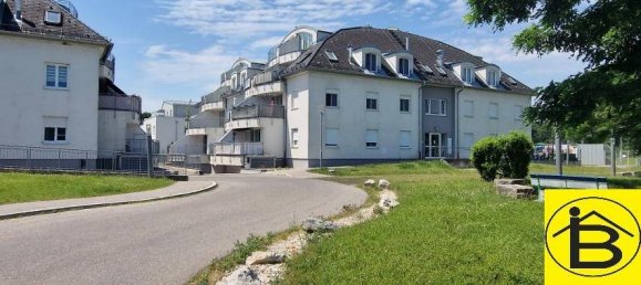 Apartamento de 3 divisões em Ganserndorf, Austria N.º 53021 12