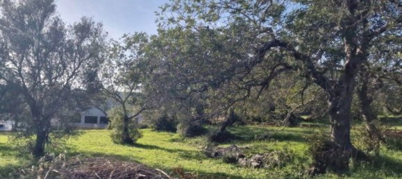 Terreno em São Brás de Alportel, Portugal 2400 m² N.º 35253 2