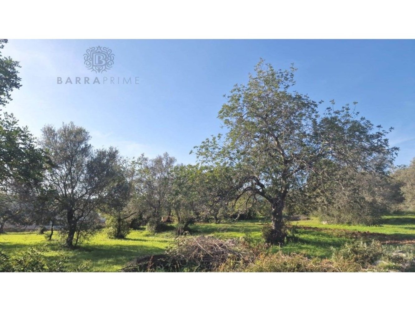 Terreno em São Brás de Alportel, Portugal 2400 m² N.º 35253