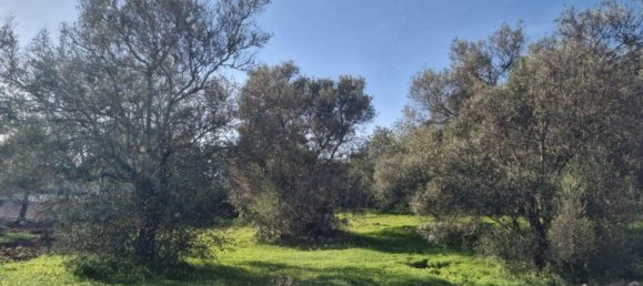 Terreno em São Brás de Alportel, Portugal 2400 m² N.º 35253 5