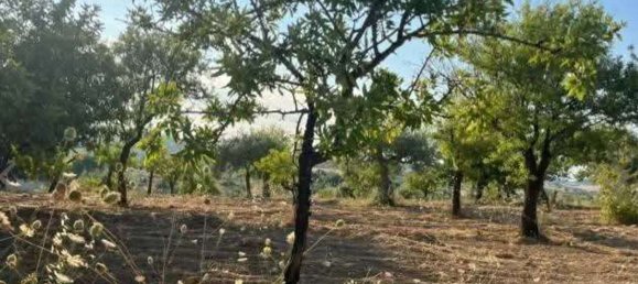 Propiedad comercial en Noto, Italy 168000 m² No. 333962 50