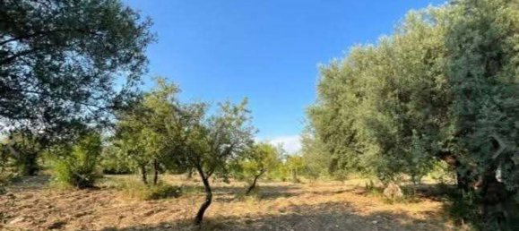 Propiedad comercial en Noto, Italy 168000 m² No. 333962 47