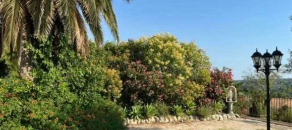 Propiedad comercial en Noto, Italy 168000 m² No. 333962 49