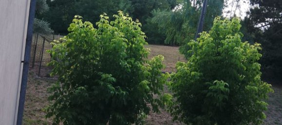 Вилла с 4 комнатами в Арче, Италия № 297319 5